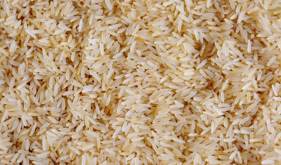 That’s a lot of rice – Slow weight gain