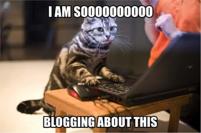 Slow and steady: Lessons from 1,500 blogs #1